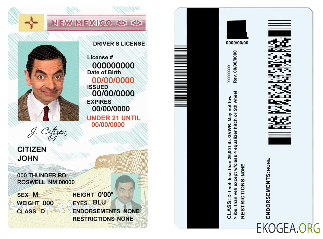 USA State New Mexico driving license template in PSD format, under 21